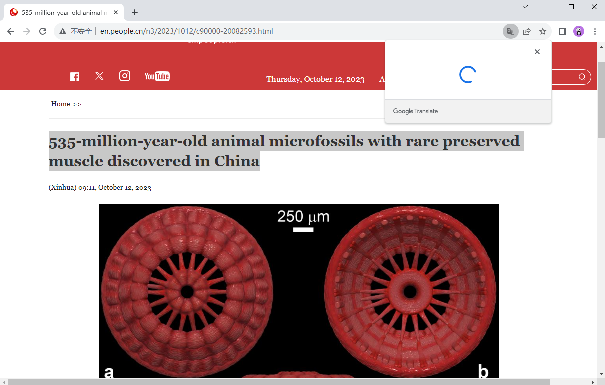 谷歌浏览器精简版截图2