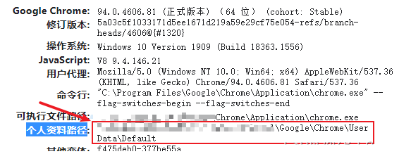 谷歌浏览器没法同步怎么办