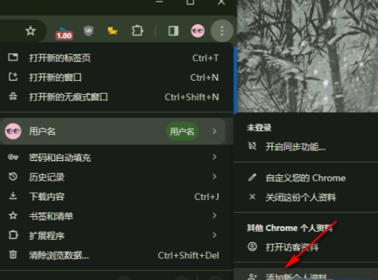 谷歌浏览器添加新的个人资料怎么操作