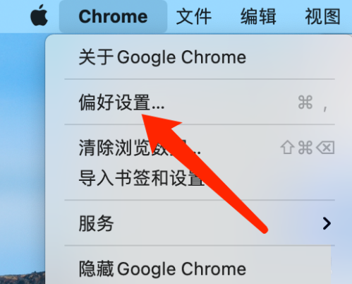 Google Chrome For Mac如何进行安全检查