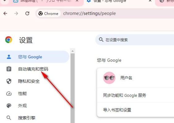 怎样让chrome自动填充功能付款更安全