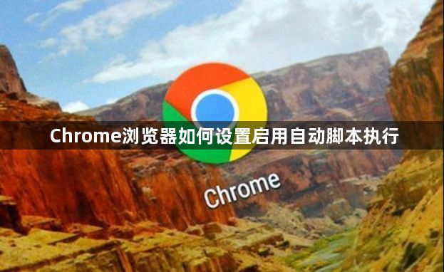 Chrome浏览器如何设置启用自动脚本执行