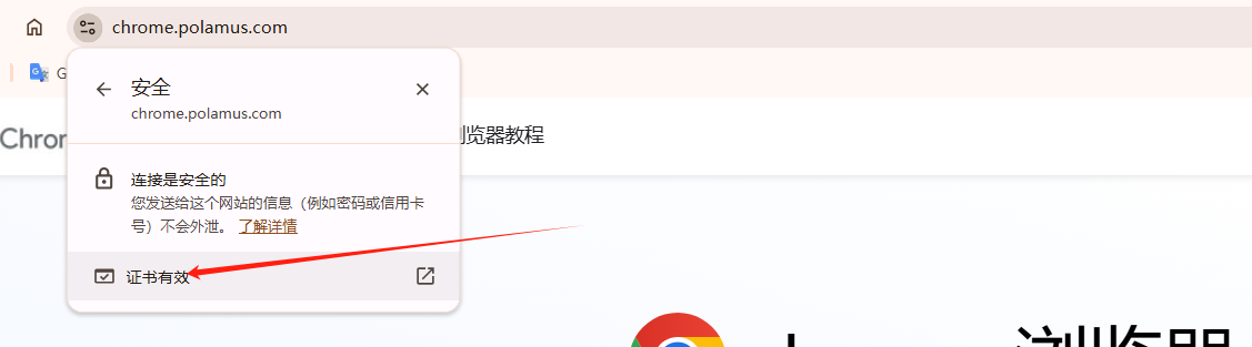 Chrome浏览器如何检查并修复证书错误