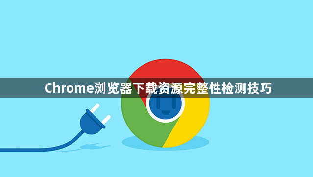 Chrome浏览器下载资源完整性检测技巧1