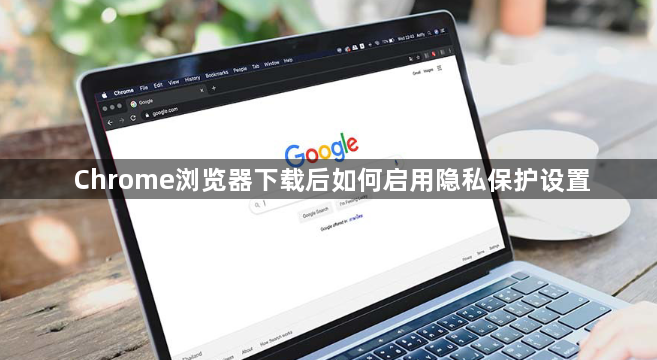 Chrome浏览器下载后如何启用隐私保护设置1