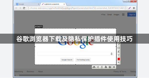 谷歌浏览器下载及隐私保护插件使用技巧1
