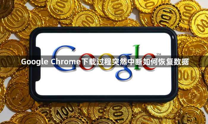 Google Chrome下载过程突然中断如何恢复数据1