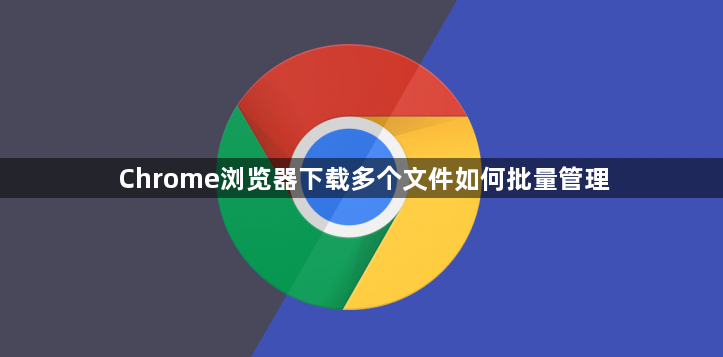Chrome浏览器下载多个文件如何批量管理1