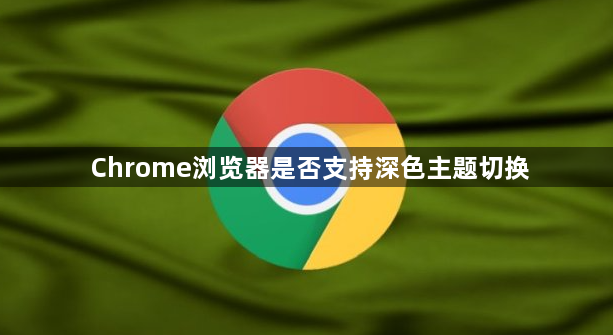 Chrome浏览器是否支持深色主题切换1