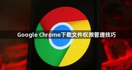 Google Chrome下载文件权限管理技巧1