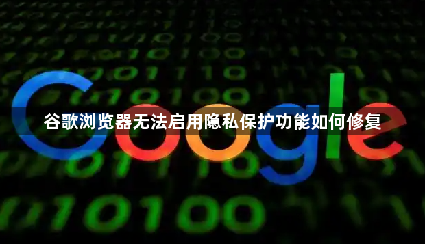 谷歌浏览器无法启用隐私保护功能如何修复1