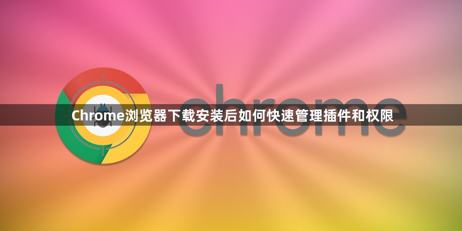 Chrome浏览器下载安装后如何快速管理插件和权限1