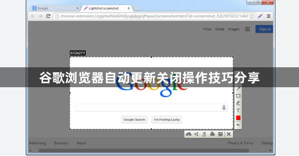 谷歌浏览器自动更新关闭操作技巧分享1