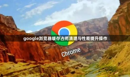 google浏览器缓存占用清理与性能提升操作1