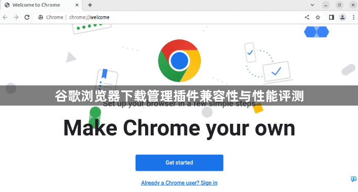 谷歌浏览器下载管理插件兼容性与性能评测1