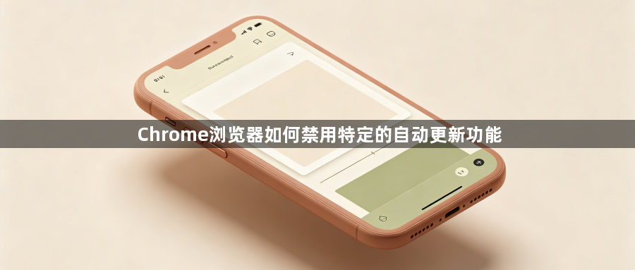 Chrome浏览器如何禁用特定的自动更新功能1